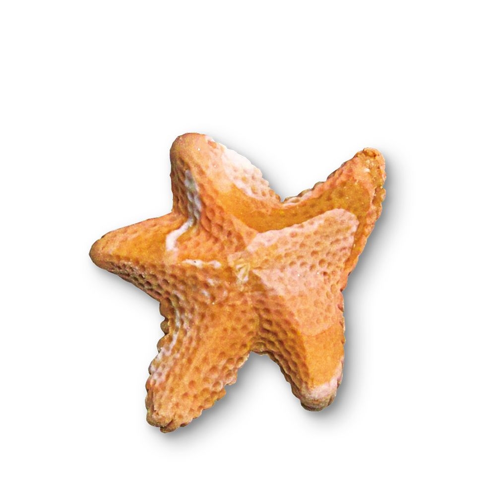 Städter - Fondant mould Starfish - 5 cm - relief shape