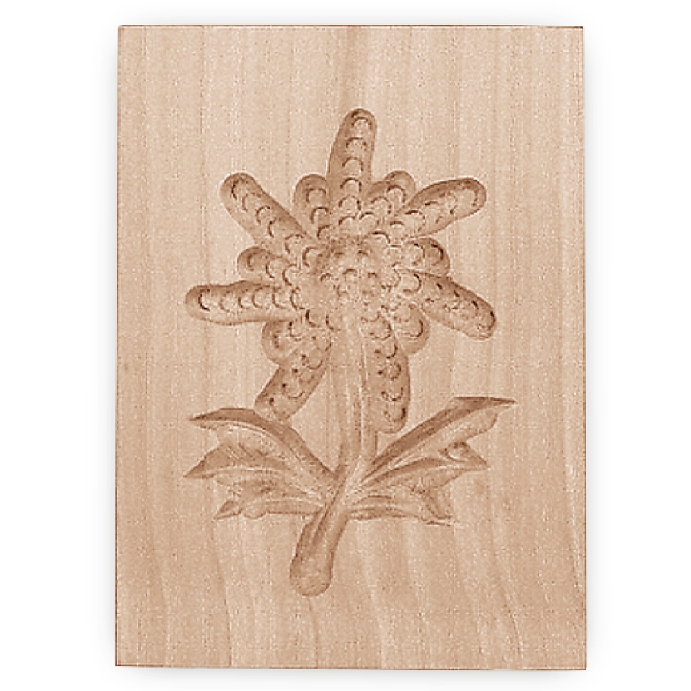 Städter - Holz-Prägeform Edelweiß 5,5 x 8 cm