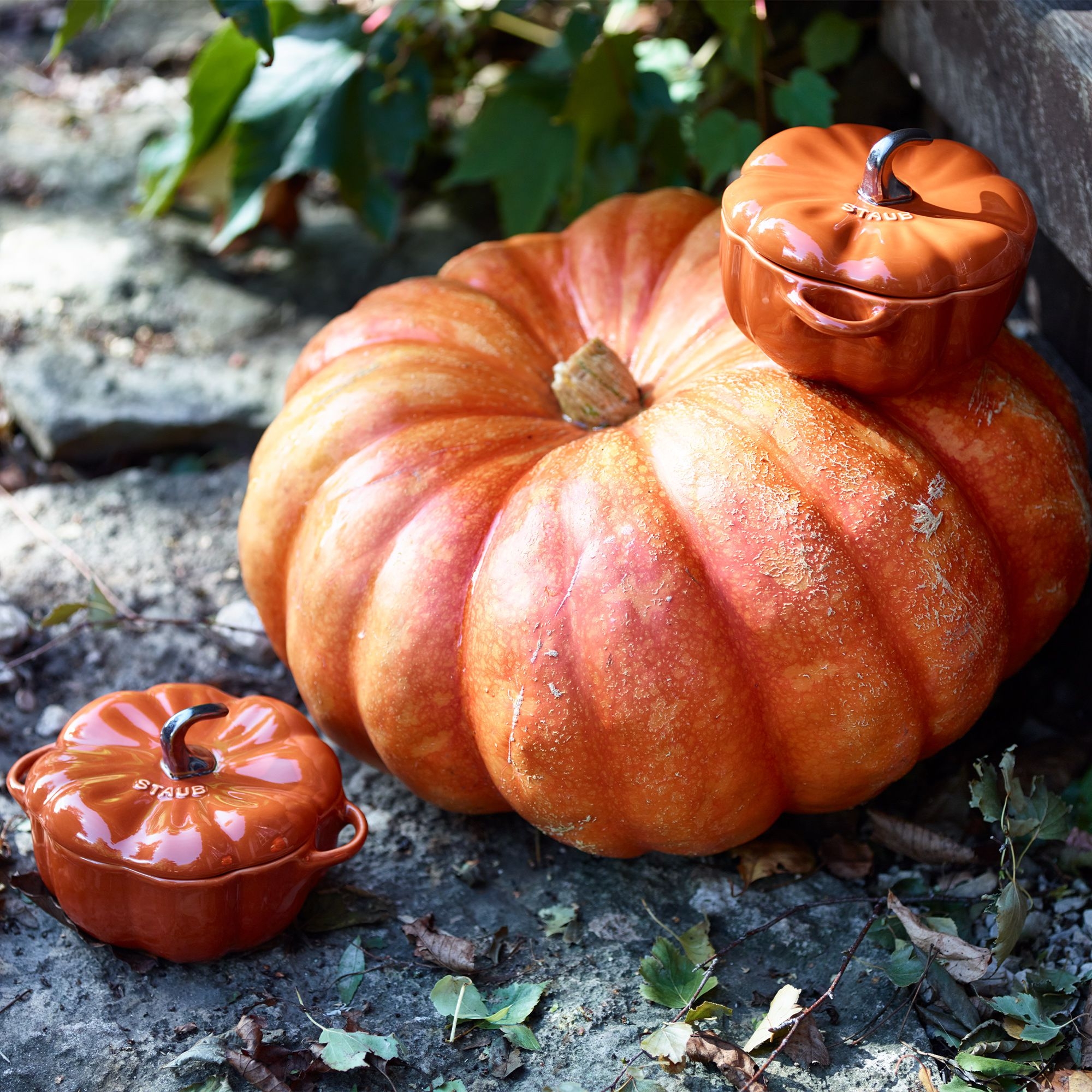 STAUB - Ceramique Cocotte | pumpkin | 15 cm | cinnamon