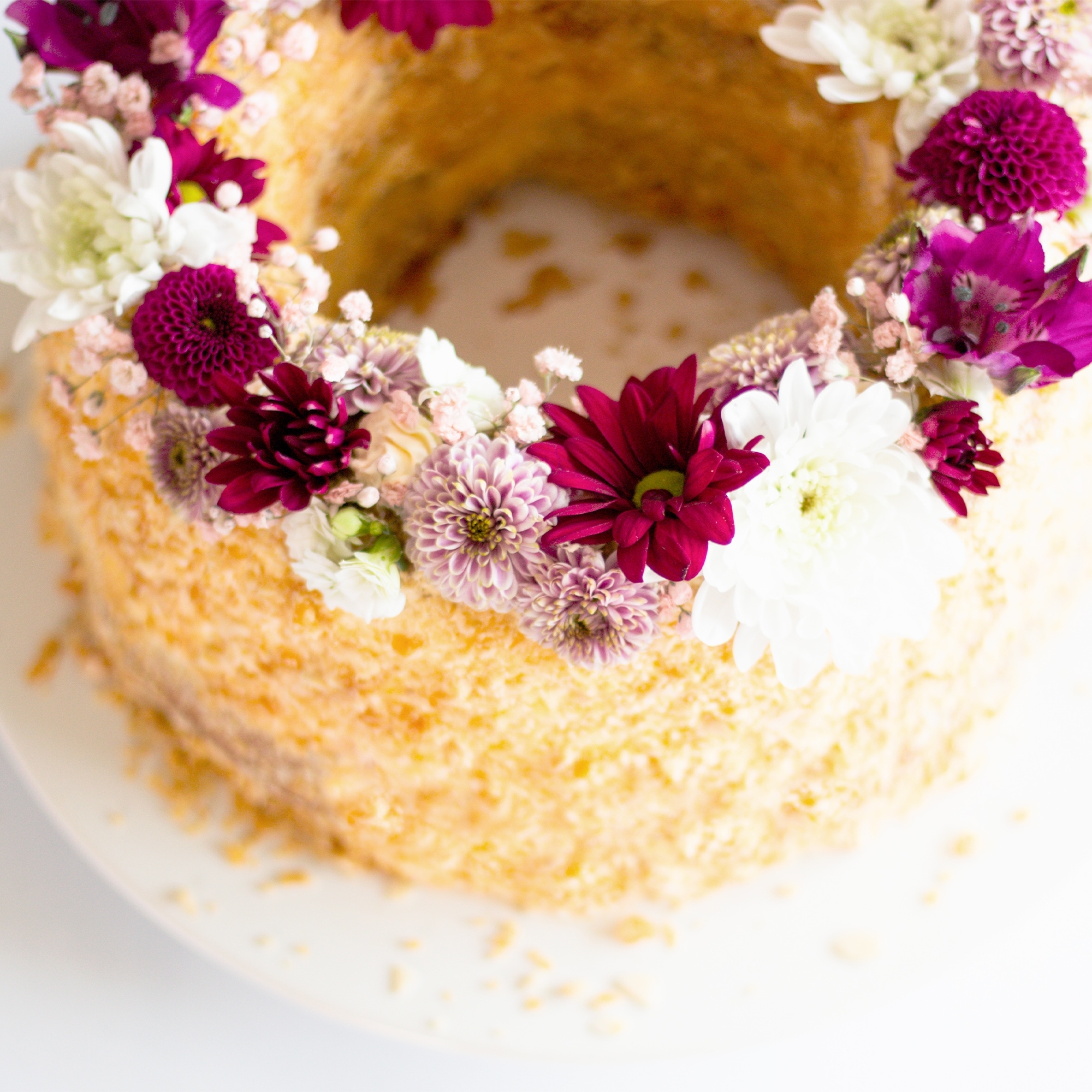 Städter - Backform Perfect - Frankfurter Kranz - ø 22 / H 7 cm / 1.400 ml - Aktions-Set